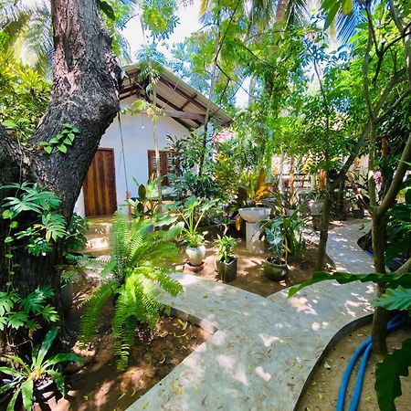 Starfish Cabbana Hotel Arugam Bay Exterior photo
