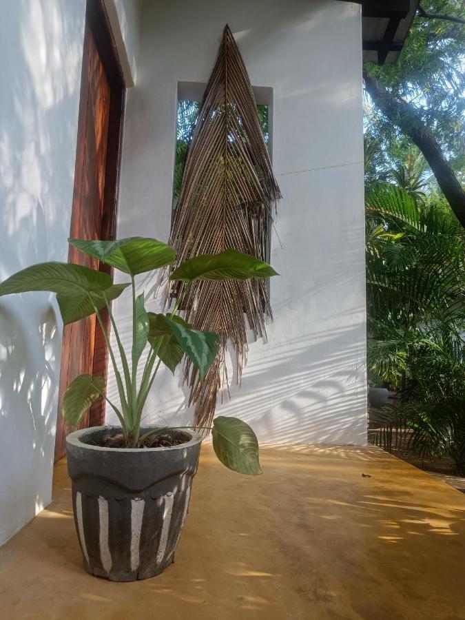 Starfish Cabbana Hotel Arugam Bay Exterior photo
