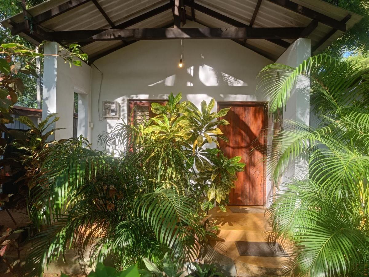 Starfish Cabbana Hotel Arugam Bay Exterior photo