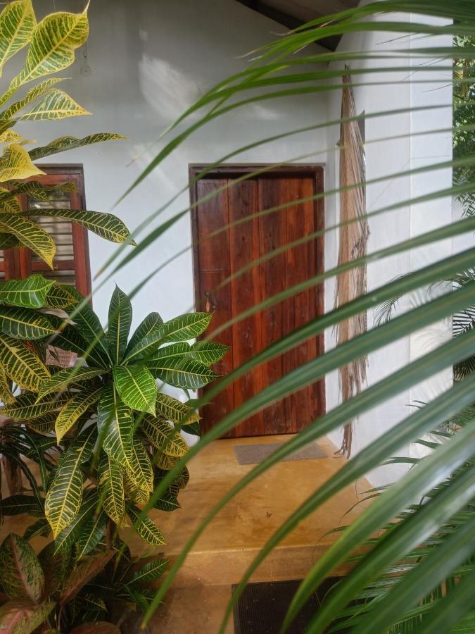 Starfish Cabbana Hotel Arugam Bay Exterior photo