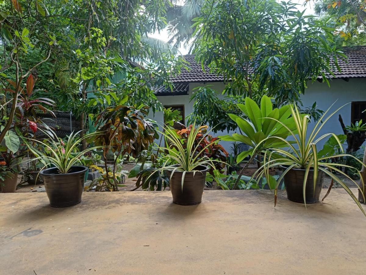 Starfish Cabbana Hotel Arugam Bay Exterior photo