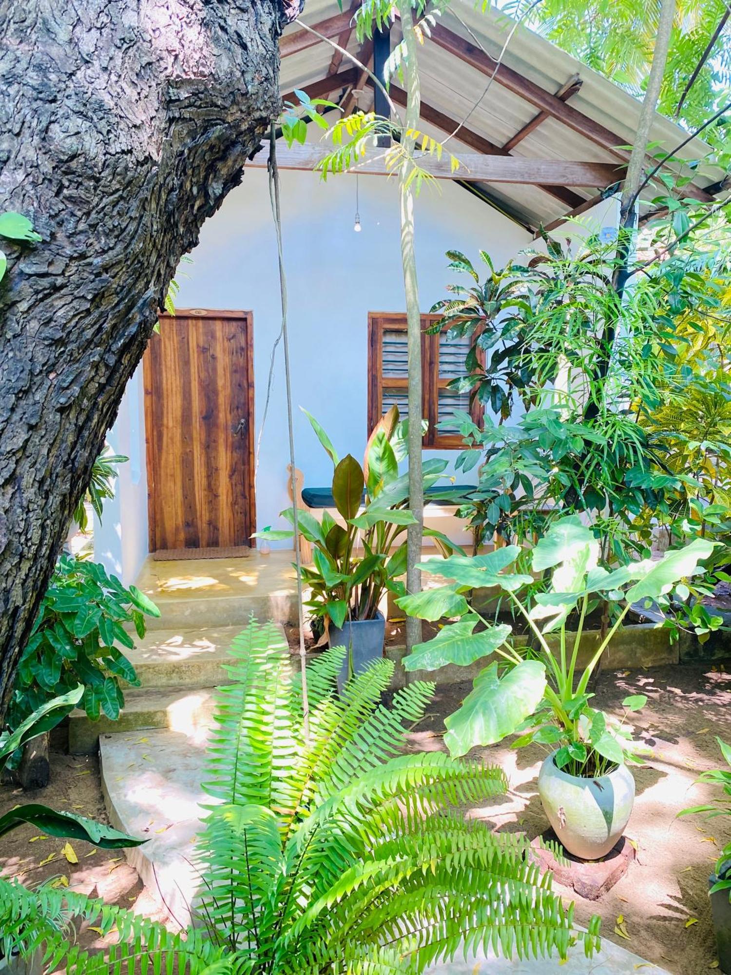 Starfish Cabbana Hotel Arugam Bay Exterior photo